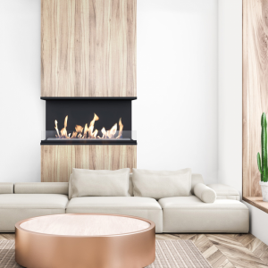 Биокамин Kratki X-RAY черный (с сертификатом TUV) в интерьере