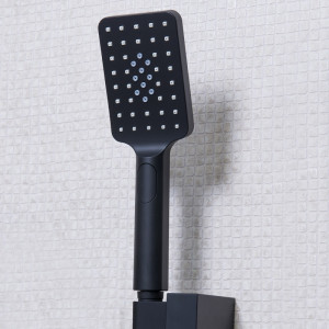 Душевая лейка для смесителя Wasserkraft Abens 2001