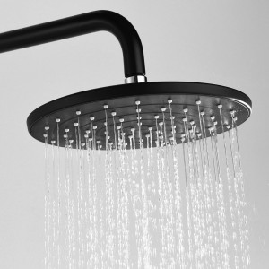 Душевая насадка системы WasserKRAFT A17401