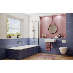 Душевая шторка Ambassador Bath Screens 16041103 в интерьере