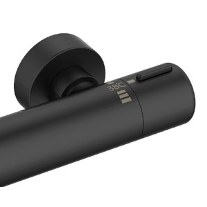 Смеситель Laveo Pretto BAO 74TD термостат