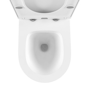 Инсталляция c унитазом Laviniа Boho Relfix Biore Rimless 87040102 унитаз вид сверху