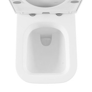 Бачок скрытого монтажа с унитазом Lavinia Boho RelFix One 77060222 унитаз вид сверху