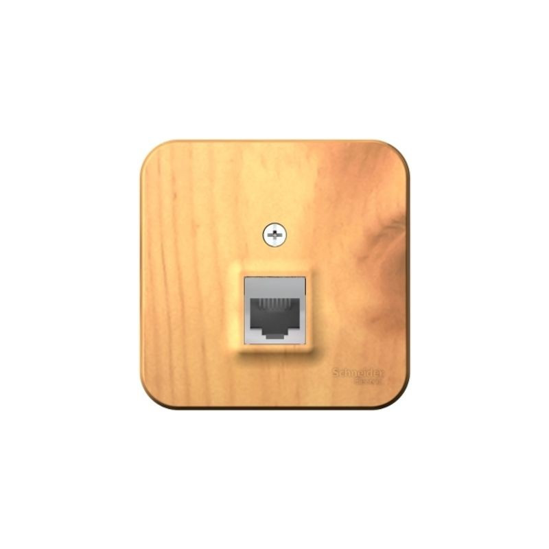Розетка Schneider Electric Blanca BLNIA011005 ясень вид спереди
