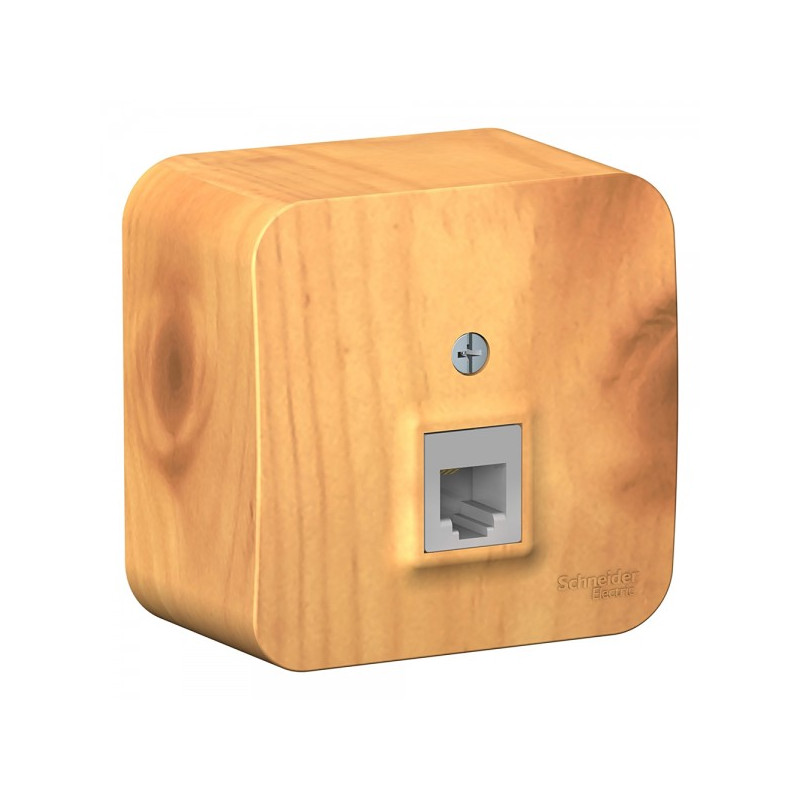 Розетка Schneider Electric Blanca BLNIA011005 ясень