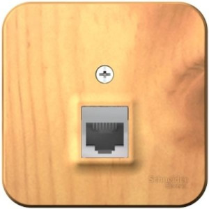 Розетка Schneider Electric Blanca BLNIA011005 ясень вид спереди