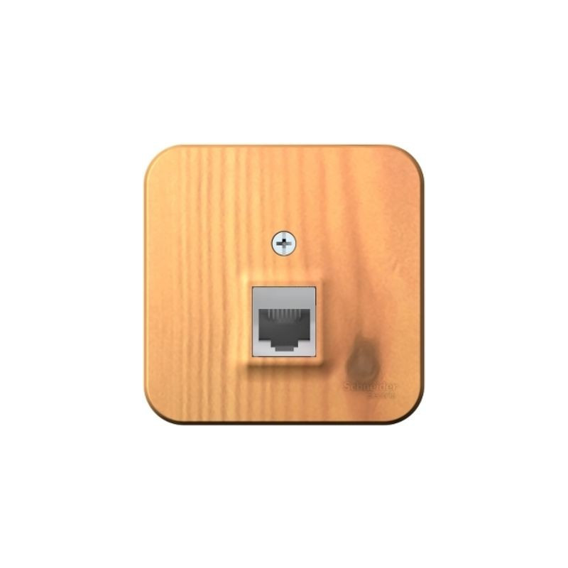 Розетка Schneider Electric Blanca BLNIA045005 ясень вид спереди