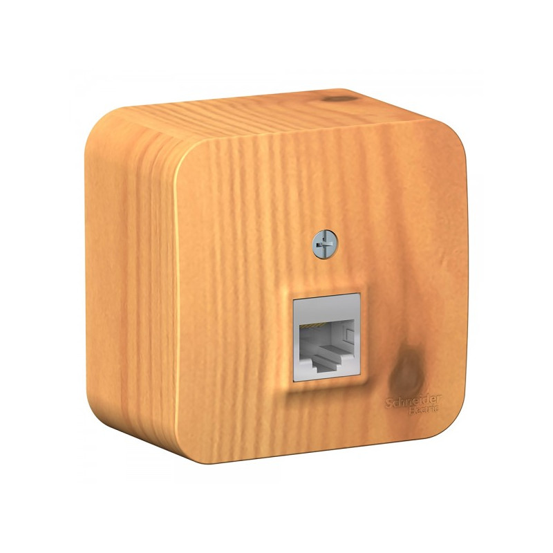 Розетка Schneider Electric Blanca BLNIA045005 ясень