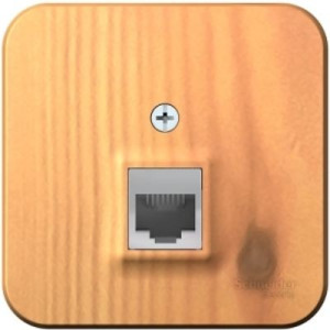 Розетка Schneider Electric Blanca BLNIA045005 ясень вид спереди