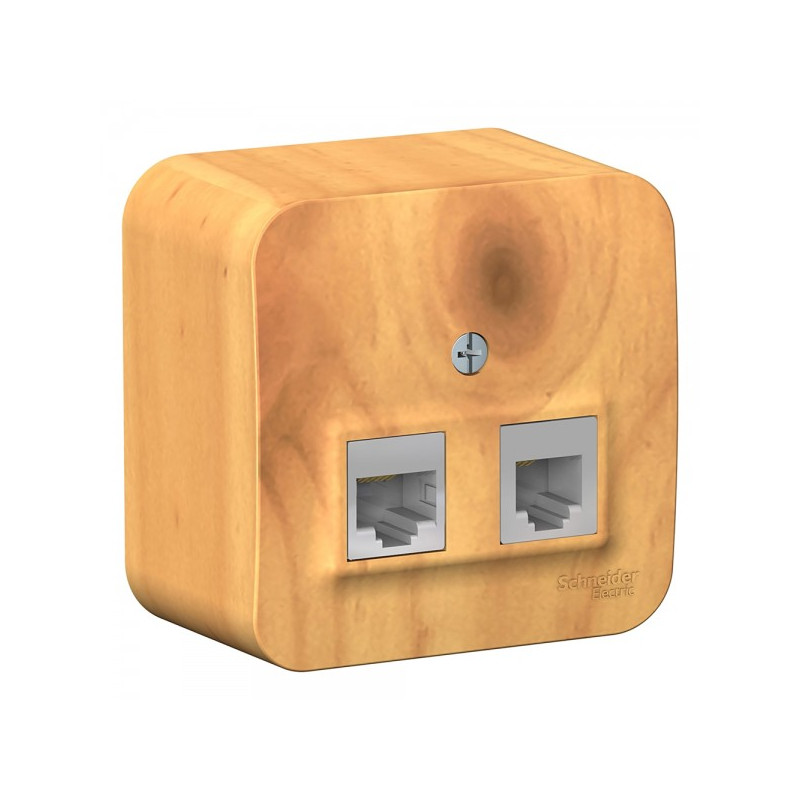 Розетка Schneider Electric Blanca BLNIA045115 ясень