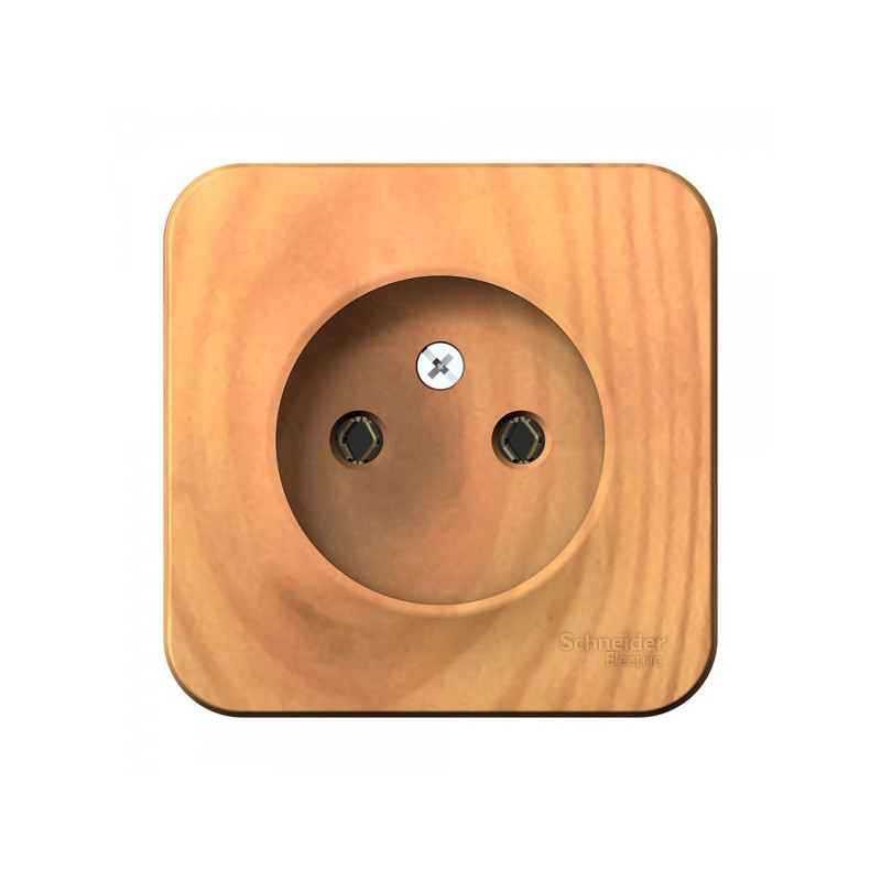 Розетка Schneider Electric Blanca BLNRA000115 ясень