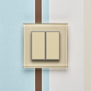 Двухканальный клавишный радиопульт DeLUMO Orto 1015 светлый бежевый на цветном фоне