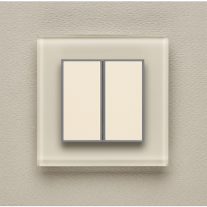 Одноканальный двухклавишный радиопульт DeLUMO Orto 1013 белый жемчуг на светлой стене