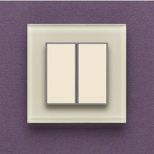 Одноканальный двухклавишный радиопульт DeLUMO Orto 1013 белый жемчуг на темной стене