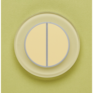 Одноканальный двухклавишный радиопульт DeLUMO Ronda 1014 классический бежевый на зеленой стене