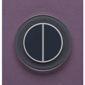 Одноканальный двухклавишный радиопульт DeLUMO Ronda 7016 антрацит на стене