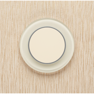 Одноканальный клавишный радиопульт DeLUMO Ronda 1013 белый жемчуг на деревянной стене