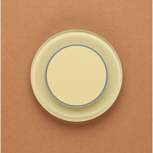 Одноканальный клавишный радиопульт DeLUMO Ronda 1014 классический бежевый на оранжевой стене