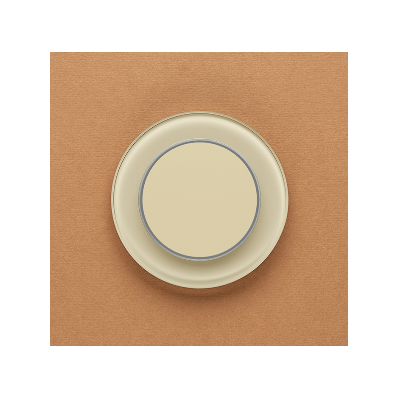 Одноканальный клавишный радиопульт DeLUMO Ronda 1015 светлый бежевый на оранжевой стене