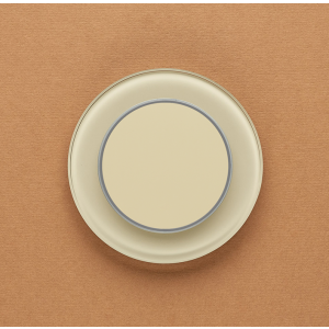 Одноканальный клавишный радиопульт DeLUMO Ronda 1015 светлый бежевый на оранжевой стене