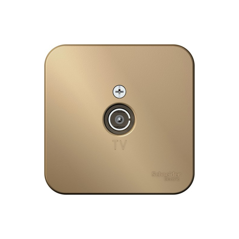 Розетка Schneider Electric Blanca BLNTA000014 титан