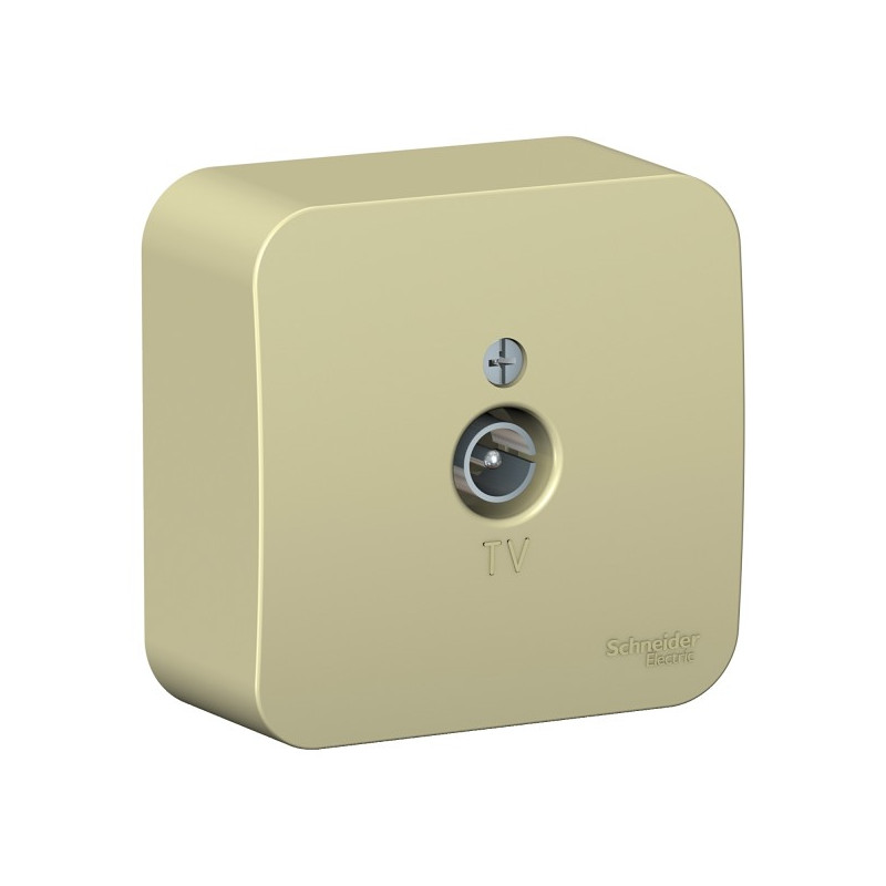 Розетка Schneider Electric Blanca BLNTA000017 бежевый
