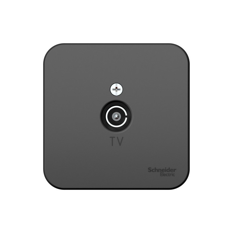 Розетка Schneider Electric Blanca BLNTA000016 антрацит