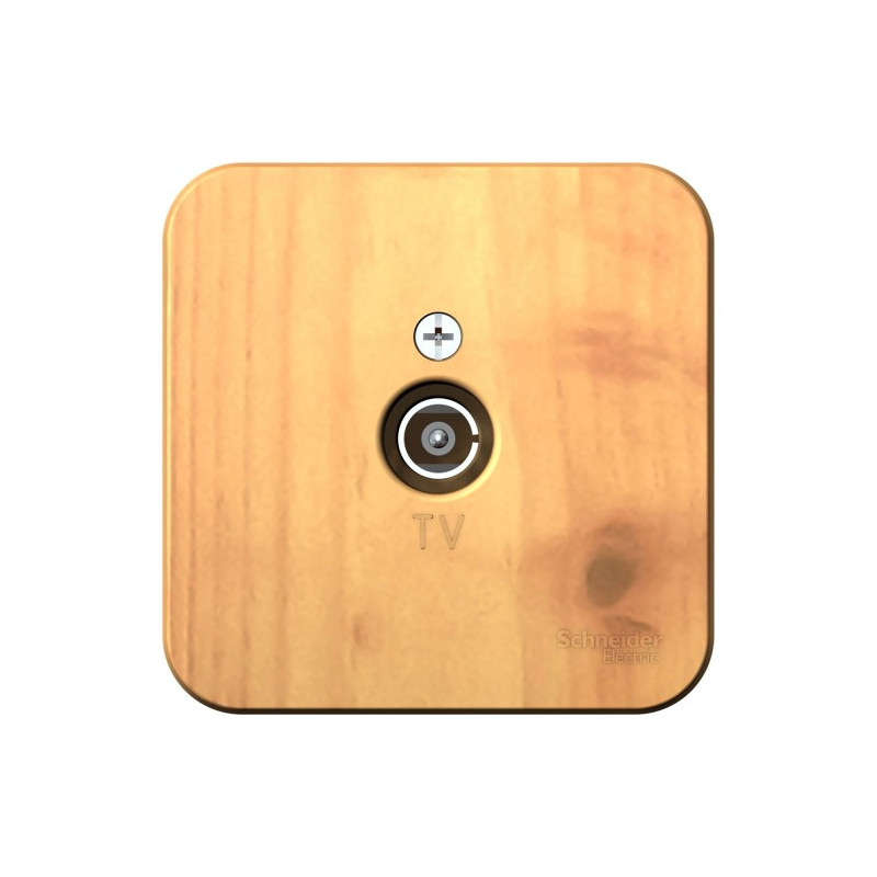 Розетка Schneider Electric Blanca BLNTA000015 ясень