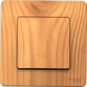 Выключатель Schneider Electric Blanca BLNVS010105 ясень вид спереди