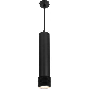 Потолочный светильник Elektrostandard DLN113 черный