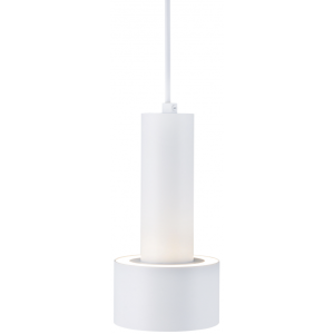 Потолочный светильник Elektrostandard DLR033 белый/хром