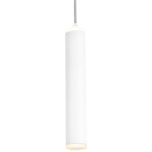 Потолочный светильник Elektrostandard DLR035 белый