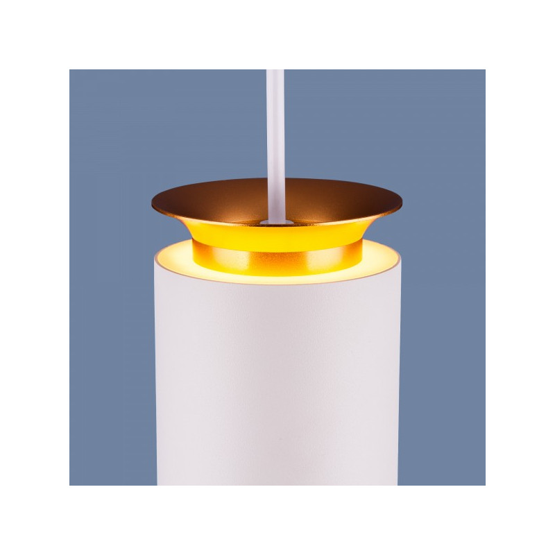 Потолочный светильник Elektrostandard DLS021 белый/золото плафон