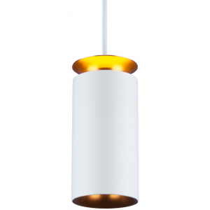 Потолочный светильник Elektrostandard DLS021 белый/золото
