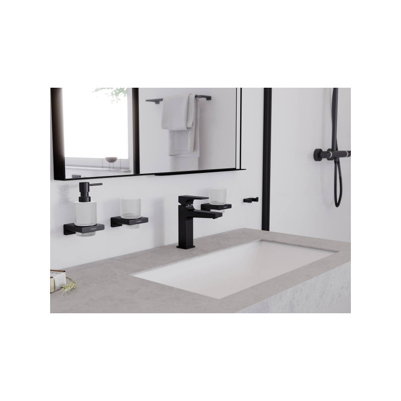 Стакан для зубной щетки и пасты Hansgrohe AddStoris - общий вид