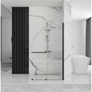 Душевая дверь Rea Cortis REA-K8880 вид спереди