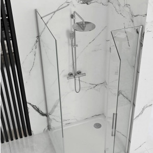 Душевая дверь Rea Molier REA-K8539 вблизи