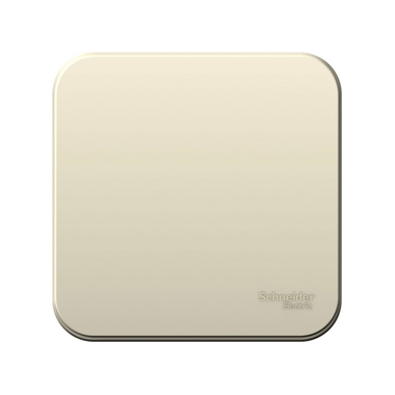Выключатель Schneider Electric Blanca BLNVA061012 молочный