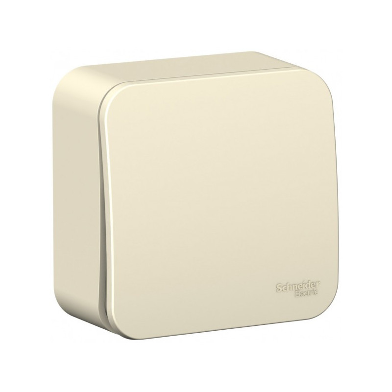 Выключатель Schneider Electric Blanca BLNVA061012 молочный сбоку