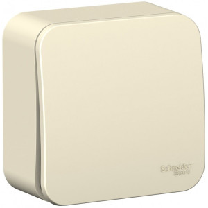 Выключатель Schneider Electric Blanca BLNVA061012 молочный сбоку