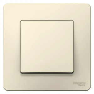 Выключатель Schneider Electric Blanca BLNVS010602 молочный спереди