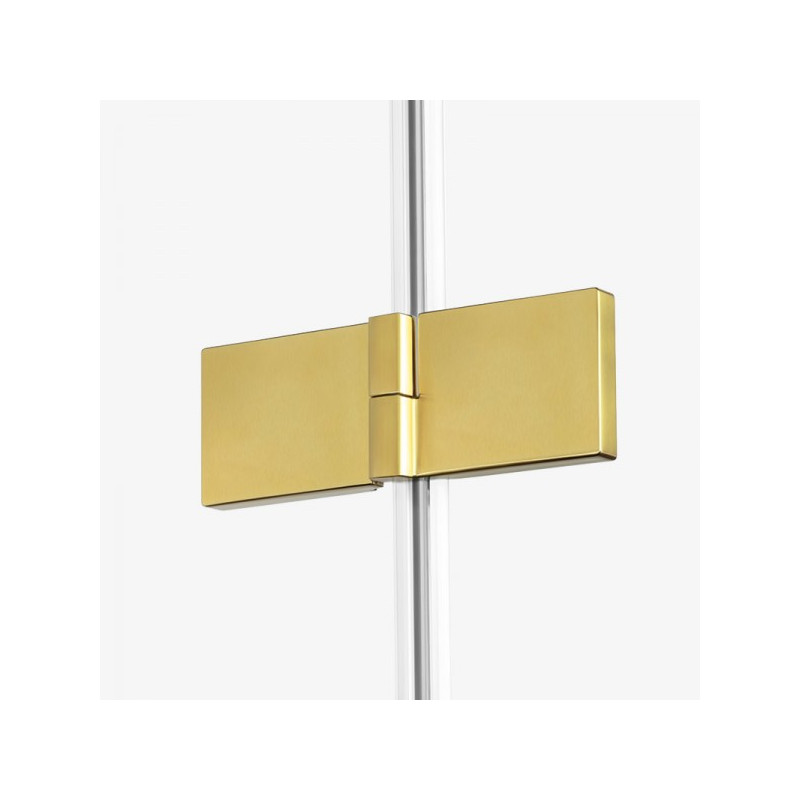 Душевая дверь New Trendy Avexa Gold EXK-1714 L петли