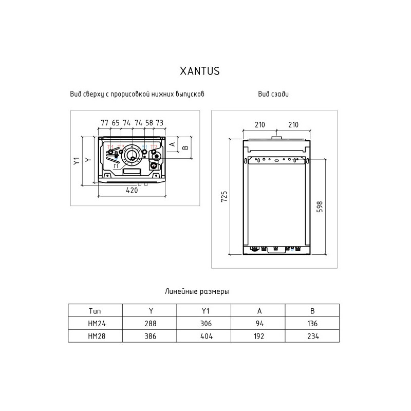 Газовый котел Thermex Xantus HM24 схема