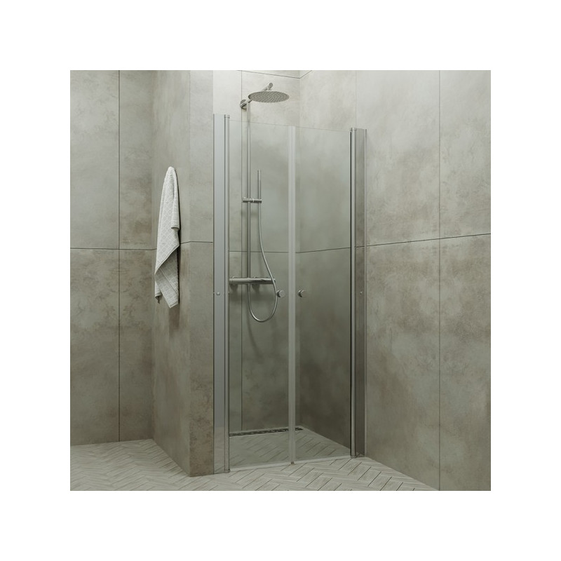 Душевая дверь Triton Дабл 90 общий вид