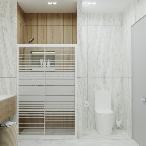 Душевая дверь Triton Слайд 100 общий вид