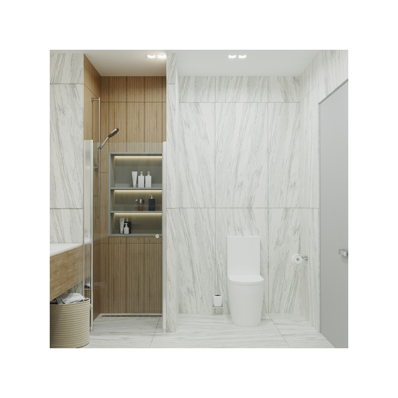 Душевая дверь Triton Уно 70 в интерьере