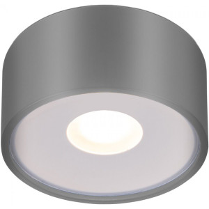 Уличный потолочный светильник Elektrostandard Light LED 2135 серый