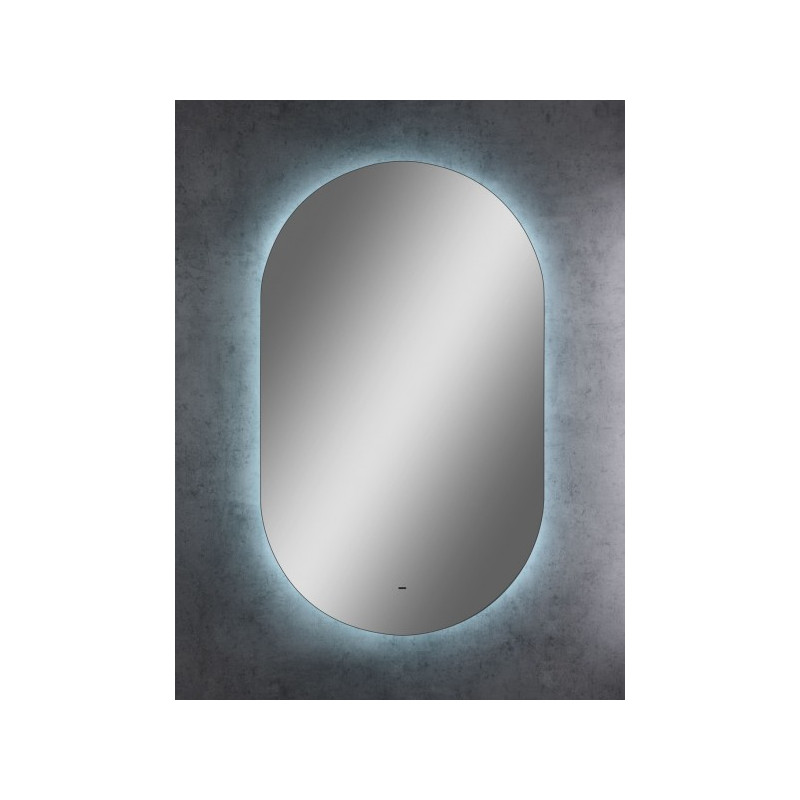 Зеркало Континент Fleur Led 60х100 (холодная подсветка) подсветка