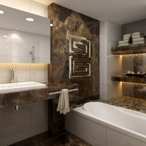 Полотенцесушитель Ростела Гармония L 600x1230 (1/2") в интерьере