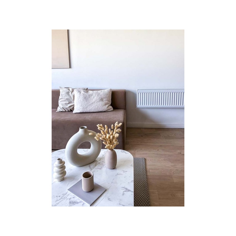 Радиатор стальной Lemax Compact 21 50х70 в комнате